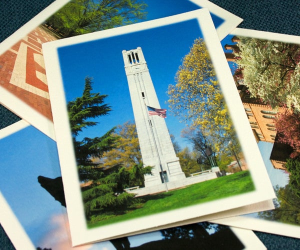 Note Card Collection, Set of 4